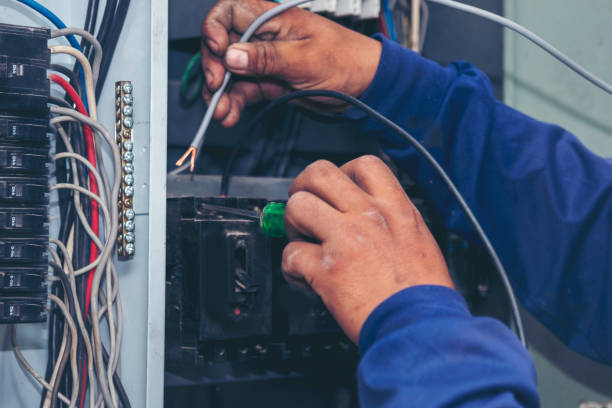 Best Local Electrician Companies  in Harbor Bluffs, FL